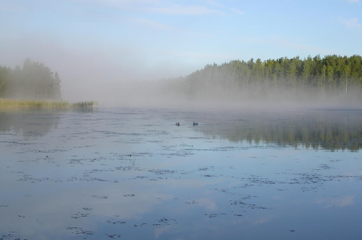 Sumua Vesijaolla