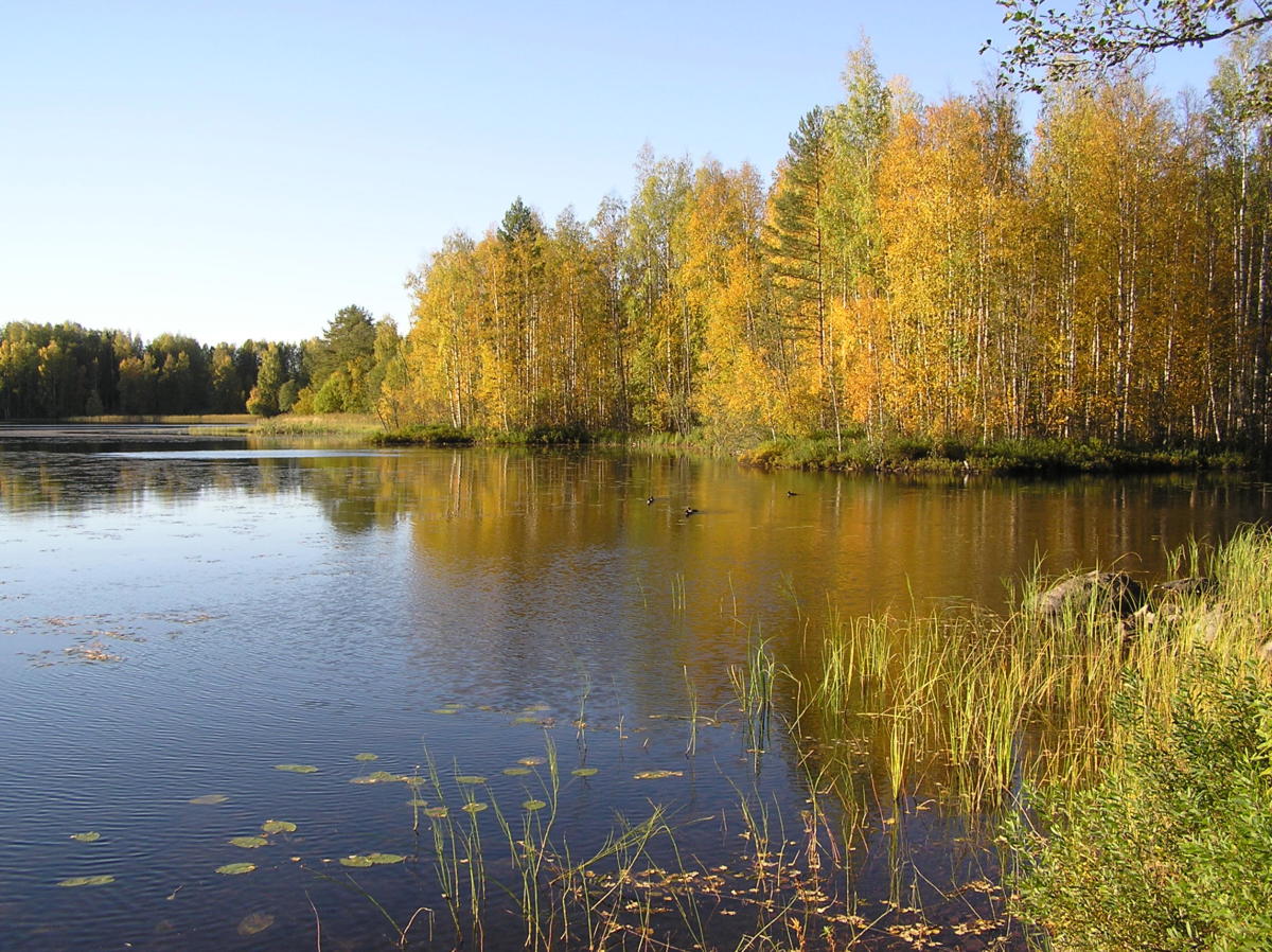 Vesijako alkusyksystä