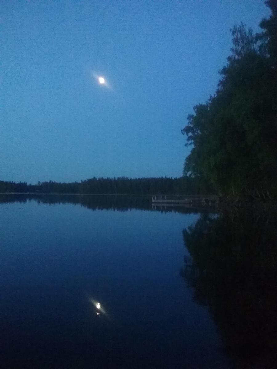 Öinen kuutamo - Palsanniemi